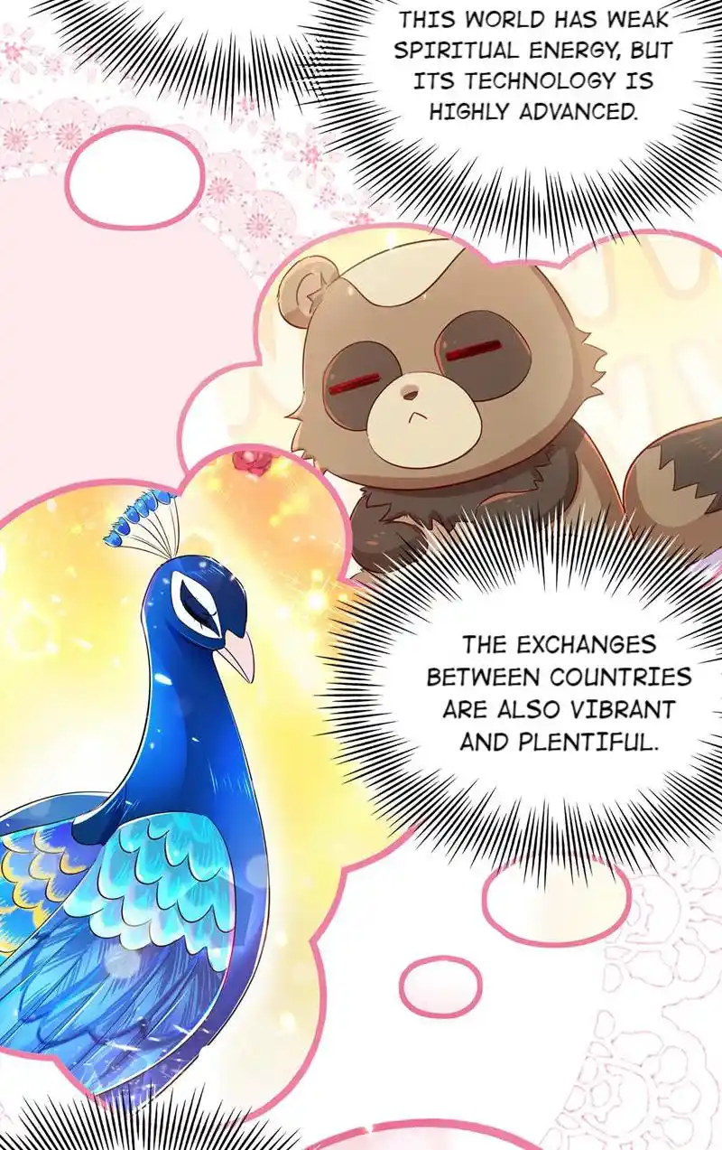 The Fiesty Wife Is Not to Be Messed With 55