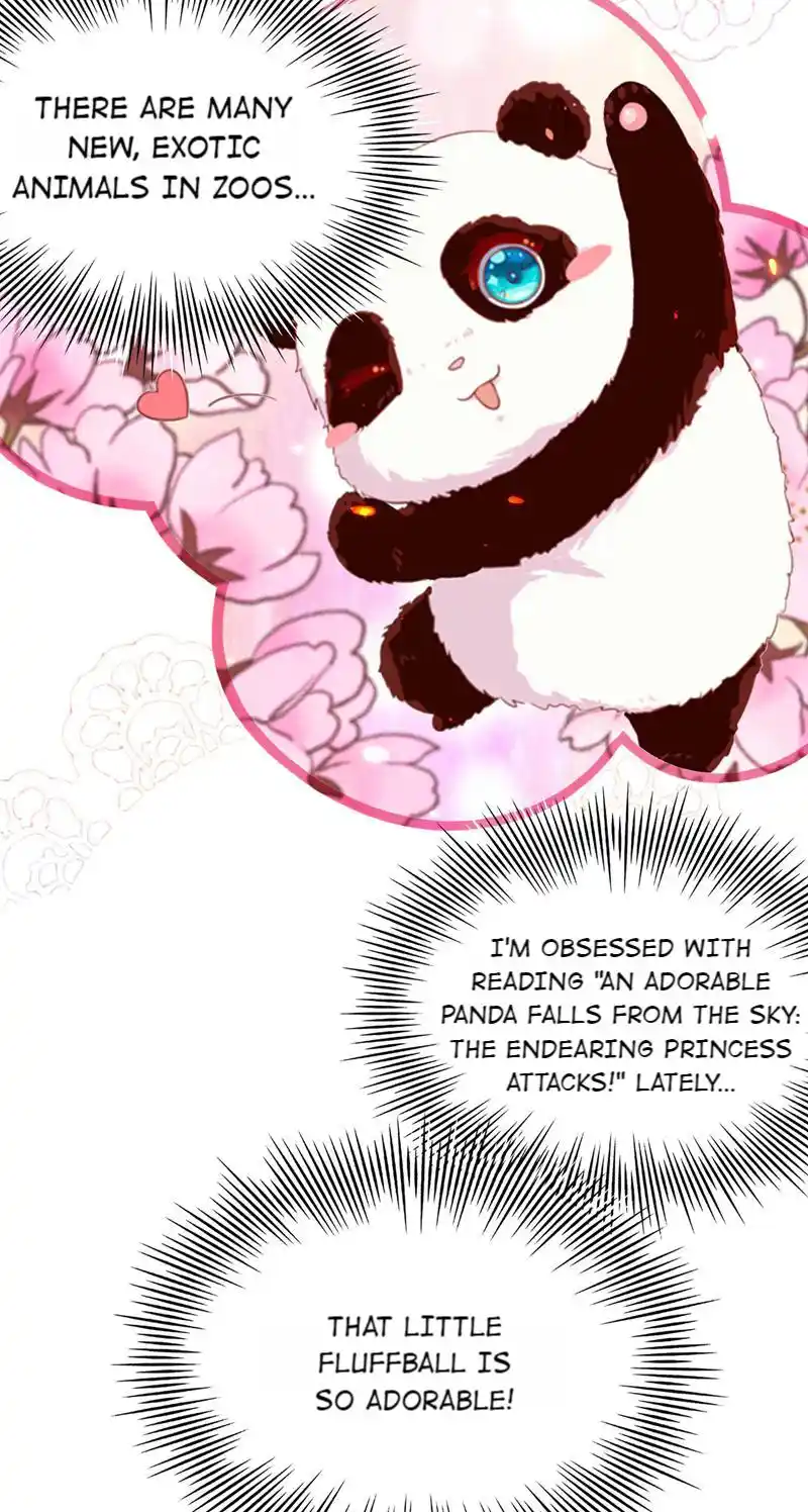 The Fiesty Wife Is Not to Be Messed With 55