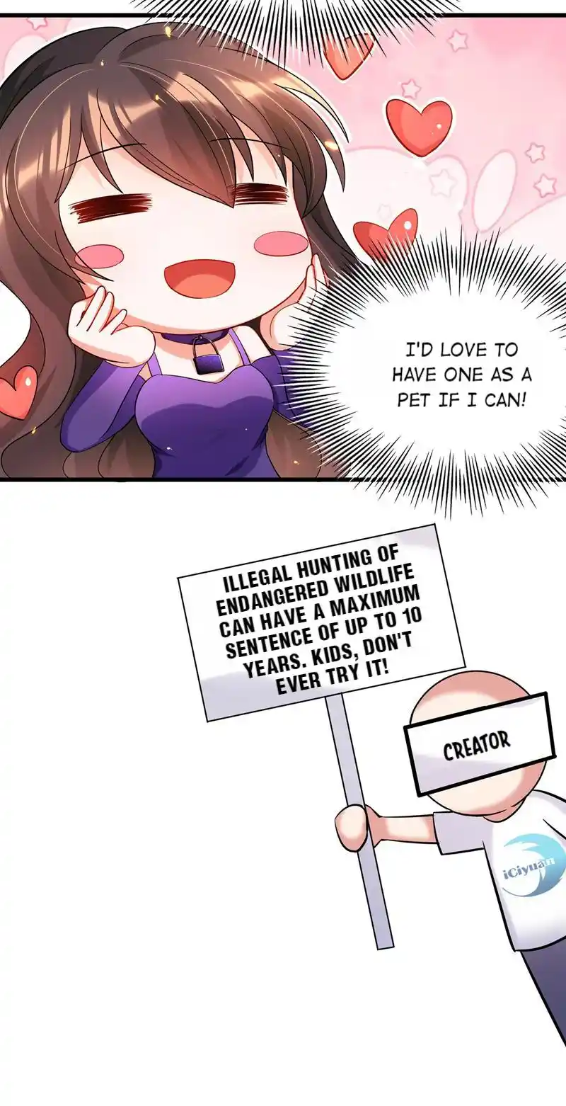 The Fiesty Wife Is Not to Be Messed With 55