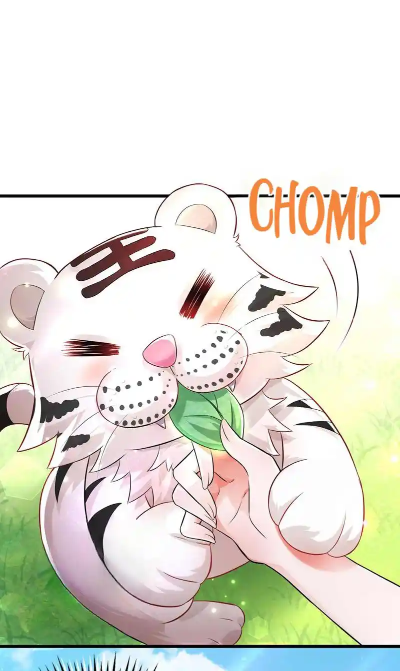 The Fiesty Wife Is Not to Be Messed With 58