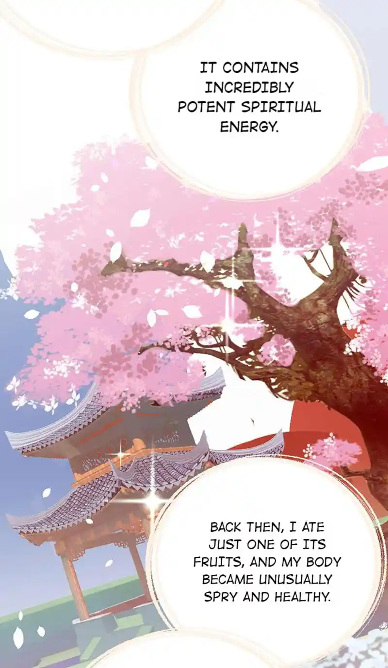 The Fiesty Wife Is Not to Be Messed With 58