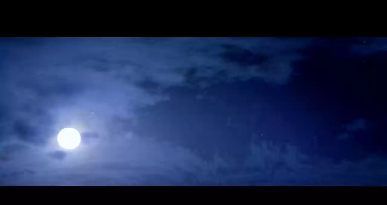 The Gangster Boss is 16 Again 11.0 I'm Back