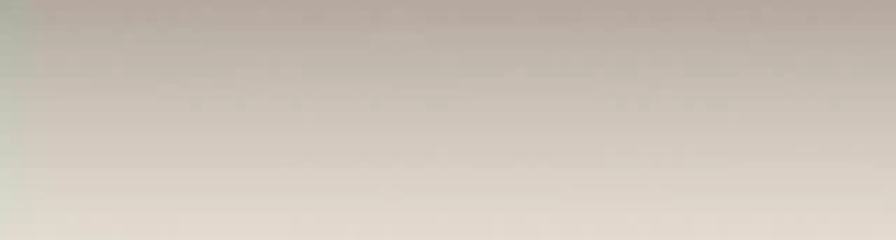 The Gangster Boss Is 16 Again 137