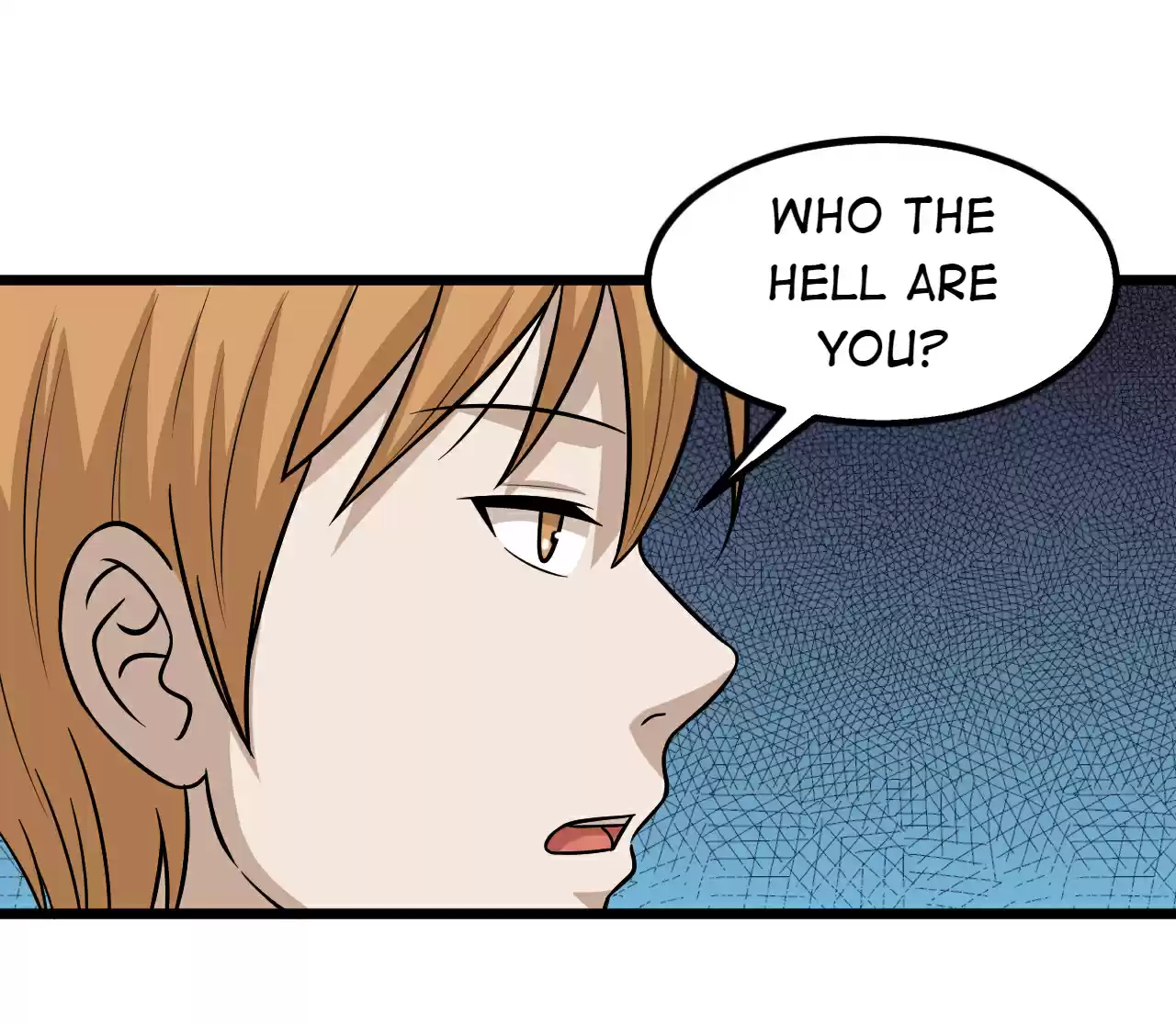 The Gangster Boss is 16 Again 74 Who the Hell Are You?