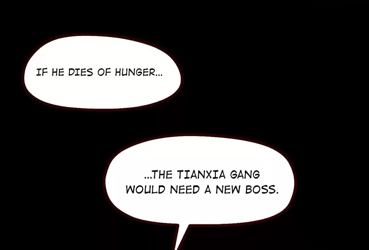 The Gangster Boss is 16 Again 9.0 Liu Fei'er