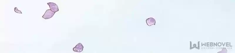 The Ghost Bride ch.150