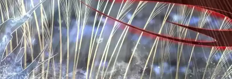 The Ghost Bride Chapter 102