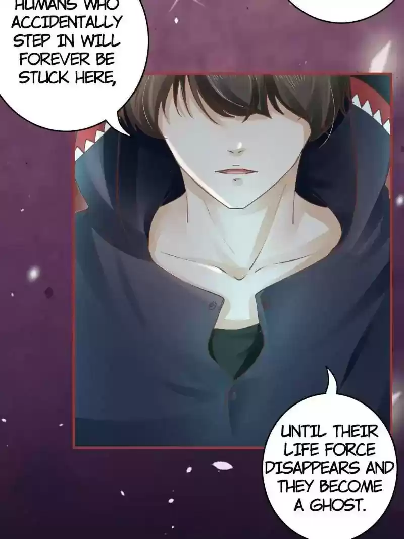 The Ghost Bride Chapter 50