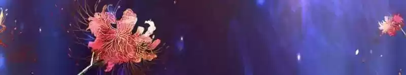 The Ghost Bride Chapter 55