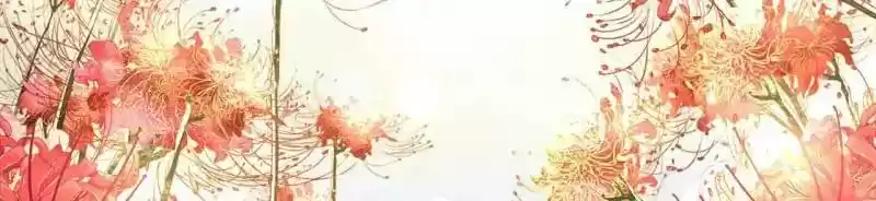 The Ghost Bride Chapter 66