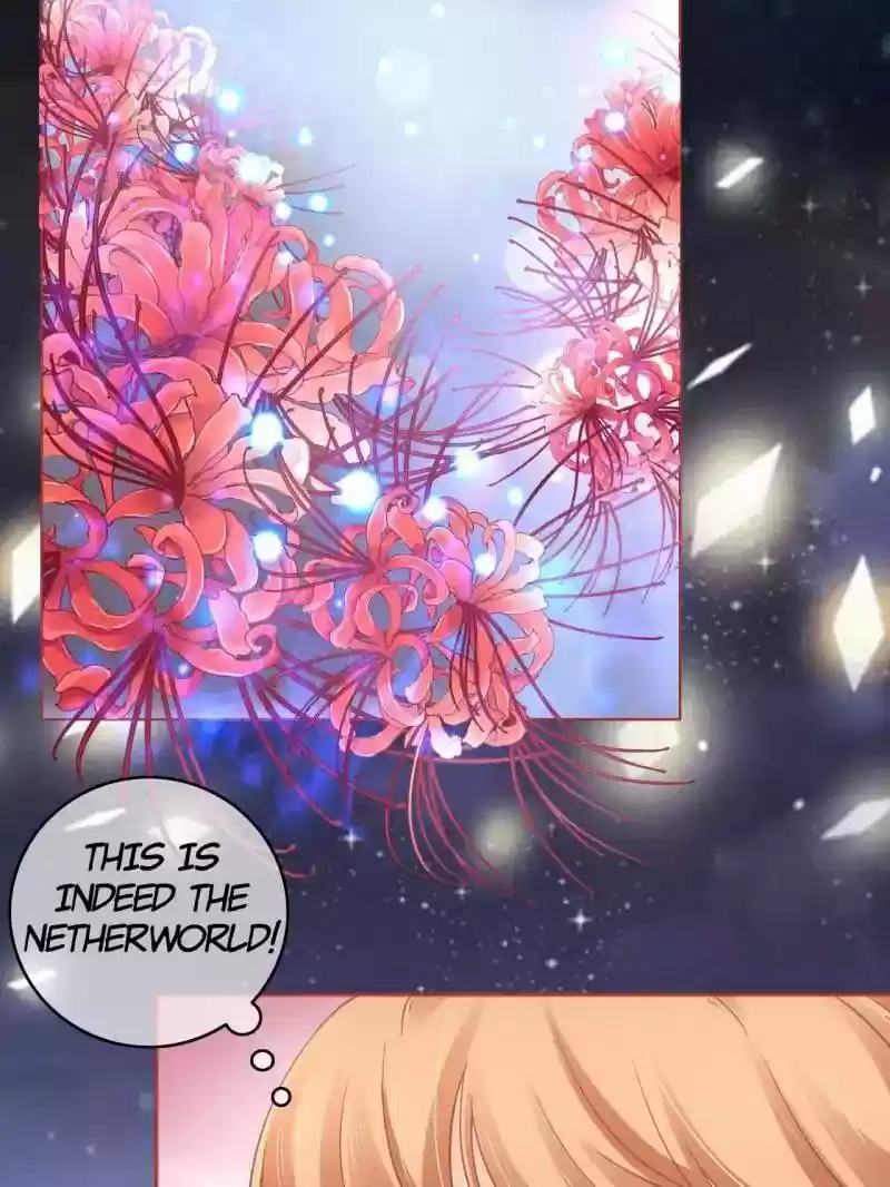 The Ghost Bride Chapter 67