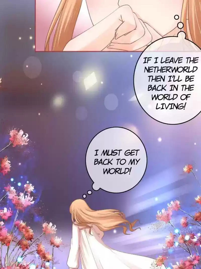 The Ghost Bride Chapter 67