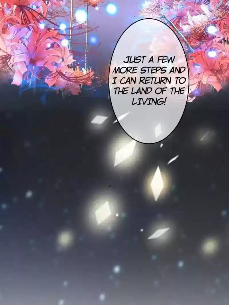 The Ghost Bride Chapter 67