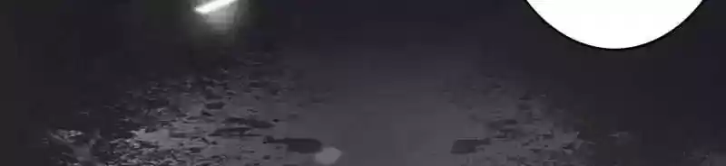 The Ghost Bride Chapter 69