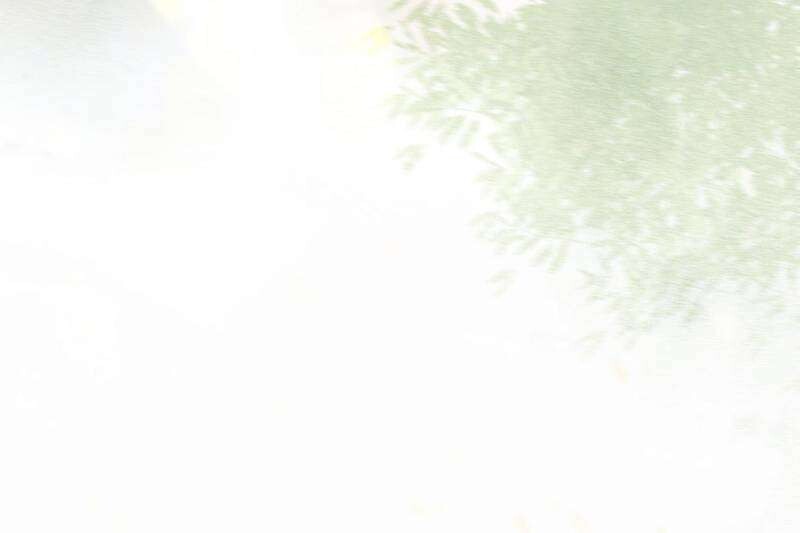 The Ghostly Doctor Ch.592