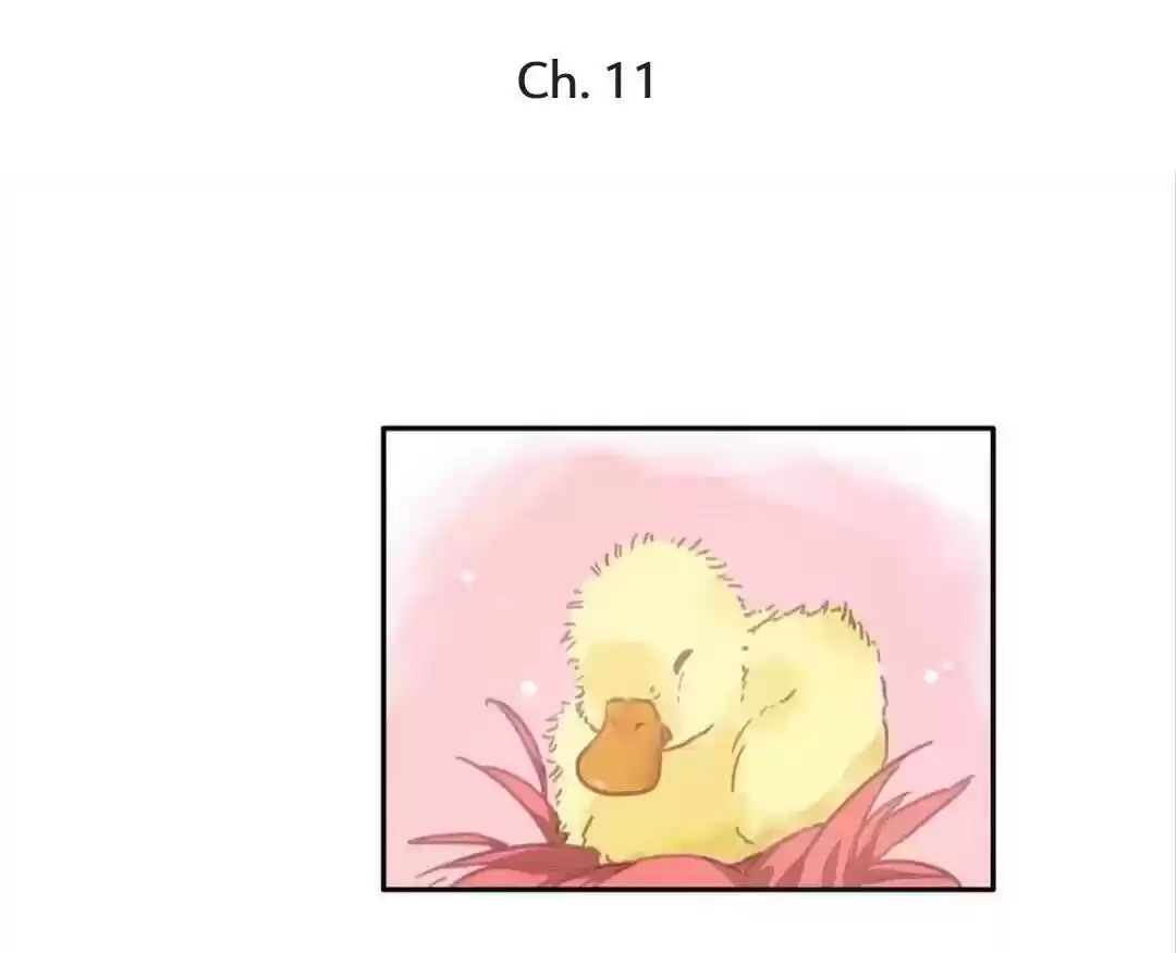 The “Giantess” Wants Love Chapter 11