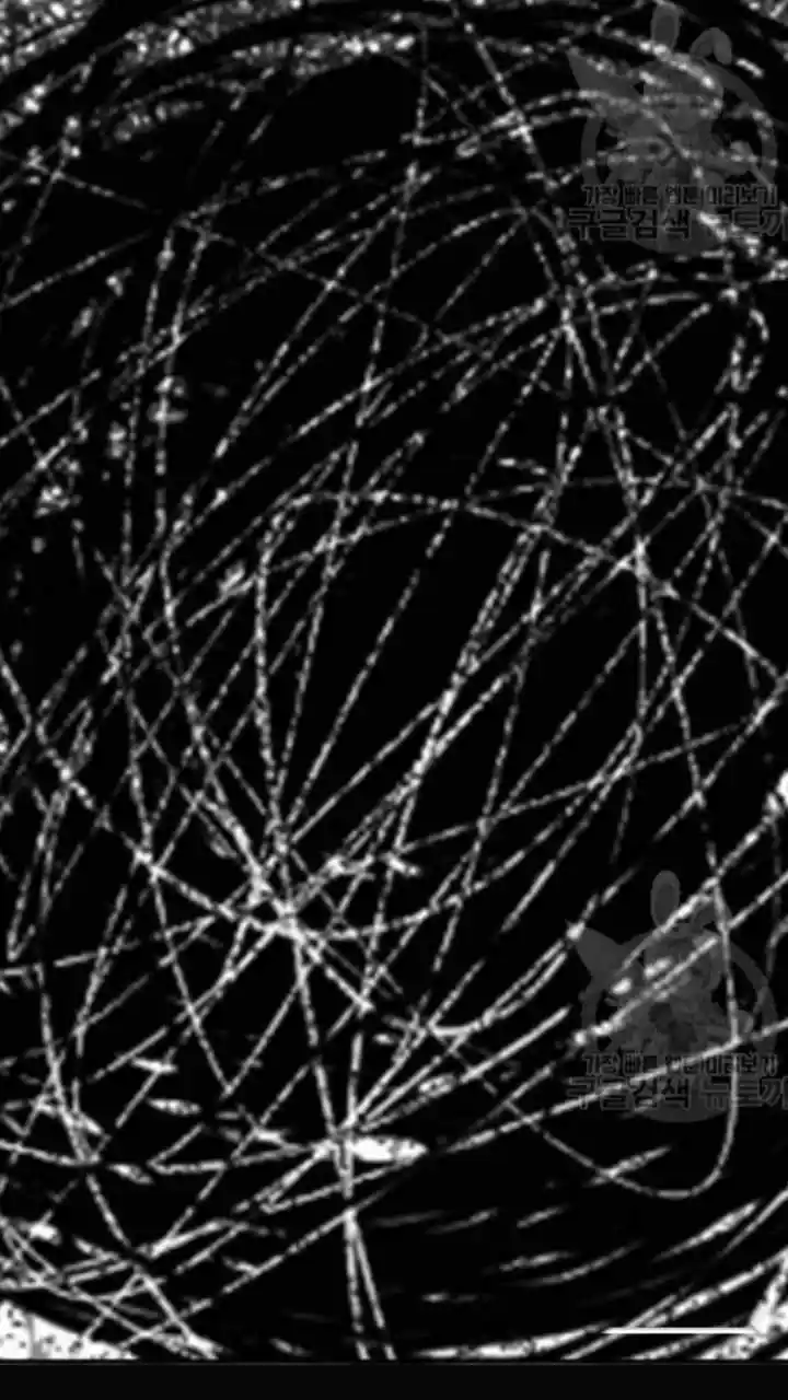 The Girl From Random Chatting! Chapter 201