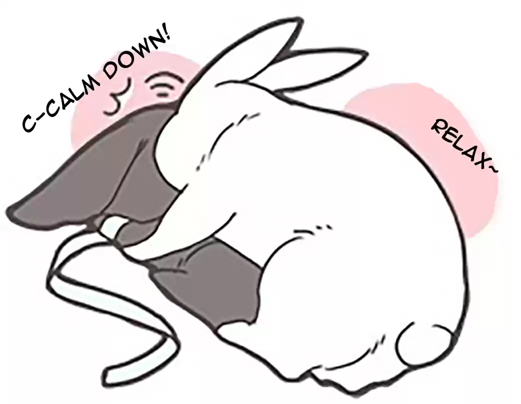 The Grandmaster of Demonic Cultivation Ch. 31.5 Bunnies