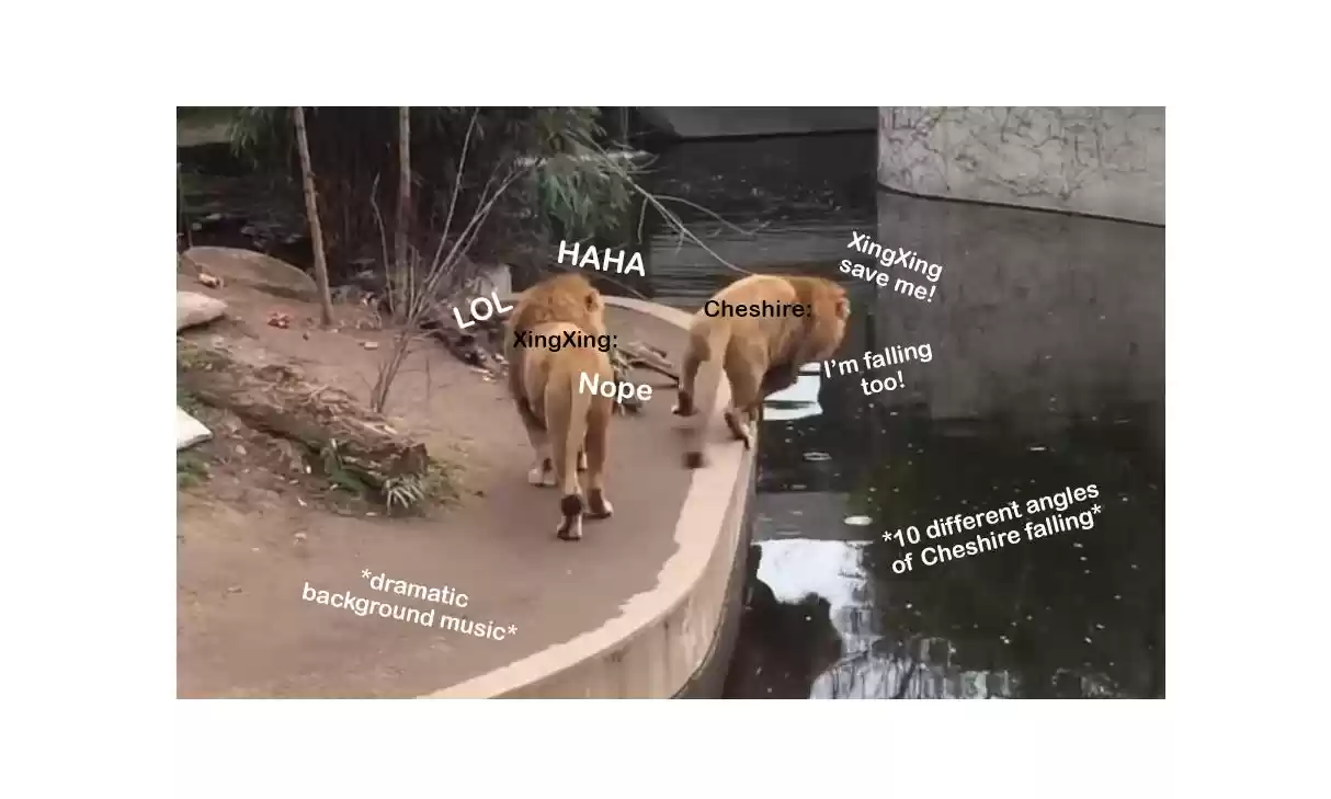 The Grandmaster Of Demonic Cultivation Chapter 217