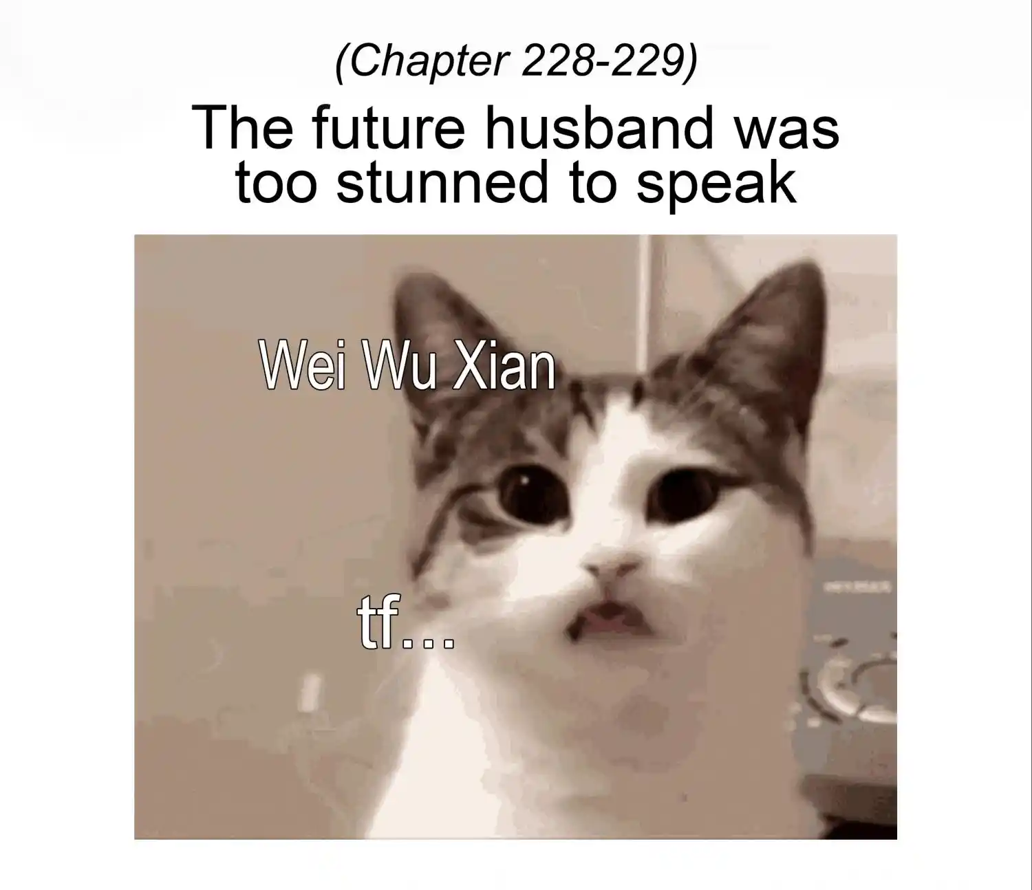 The Grandmaster Of Demonic Cultivation Chapter 229