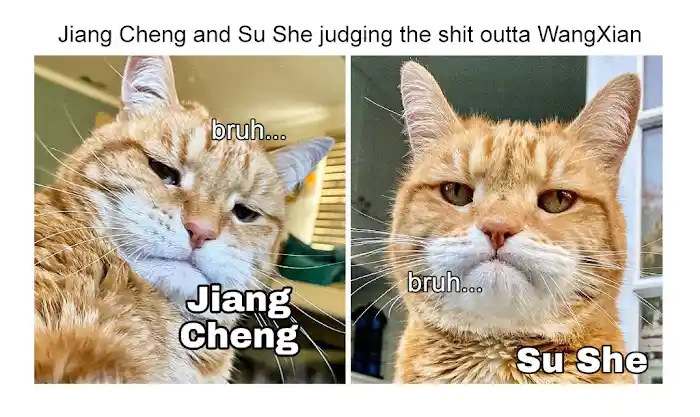 The Grandmaster Of Demonic Cultivation Chapter 239