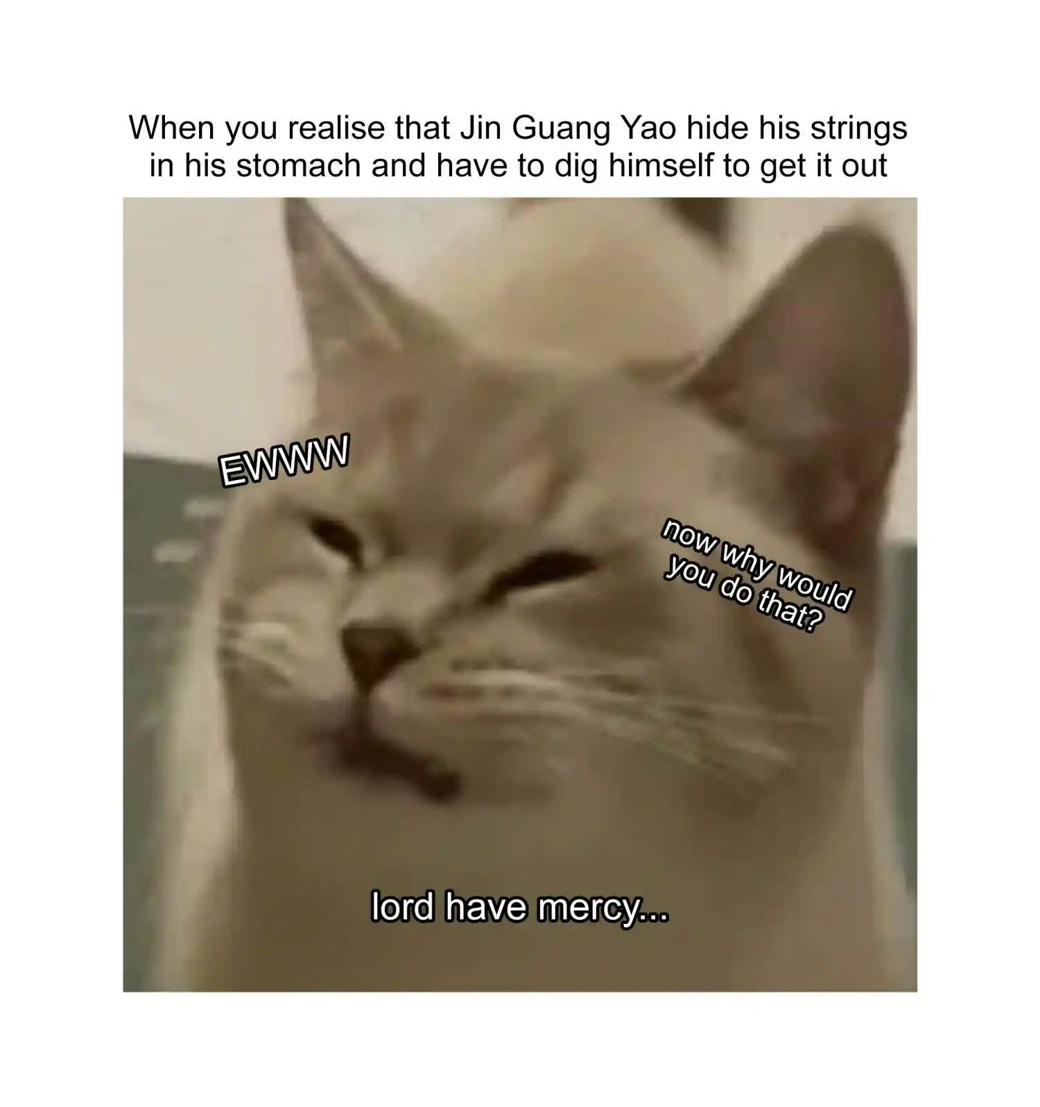 The Grandmaster Of Demonic Cultivation Chapter 247