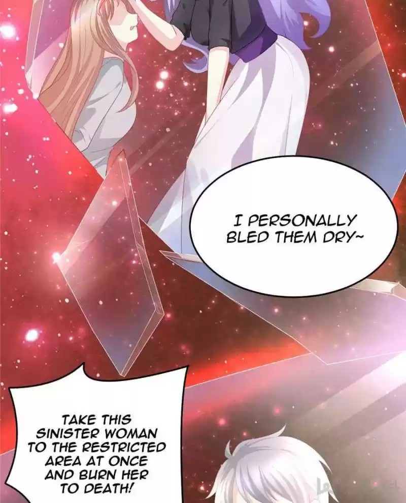 The Icy Chairman’S Cute Little Wife Chapter 1