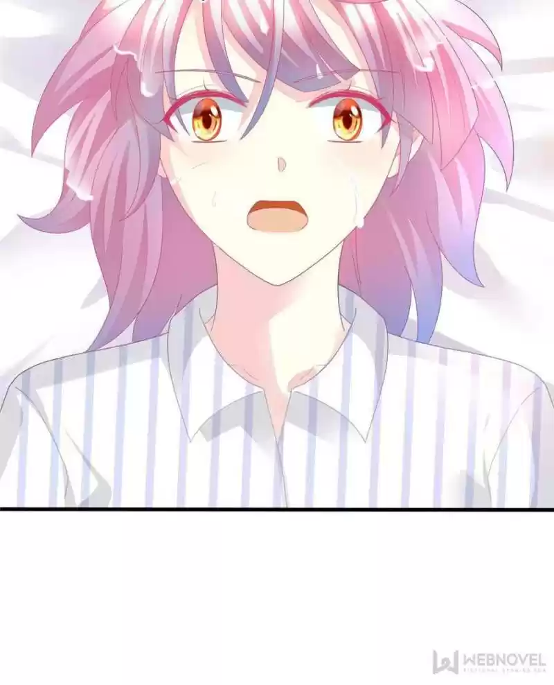 The Icy Chairman’S Cute Little Wife Chapter 1