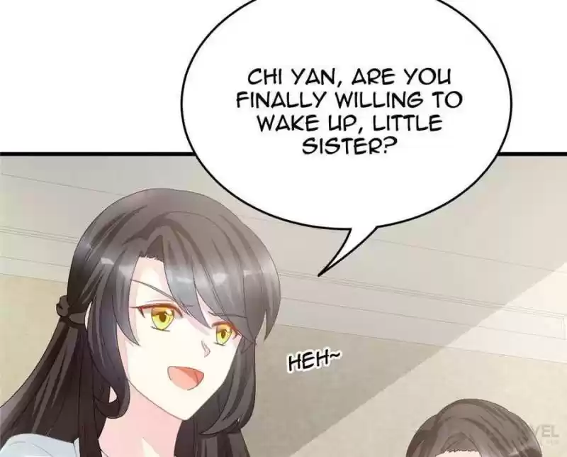 The Icy Chairman’S Cute Little Wife Chapter 1