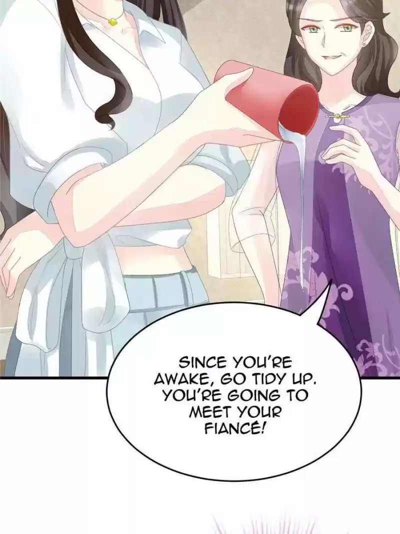 The Icy Chairman’S Cute Little Wife Chapter 1