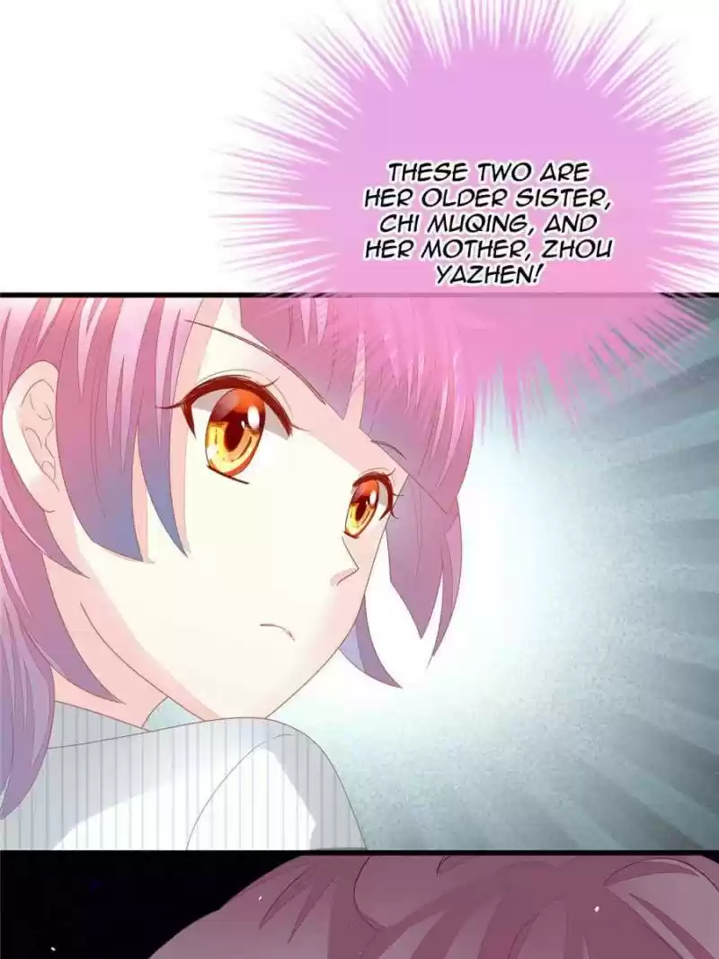 The Icy Chairman’S Cute Little Wife Chapter 1