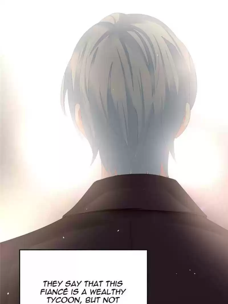 The Icy Chairman’S Cute Little Wife Chapter 1