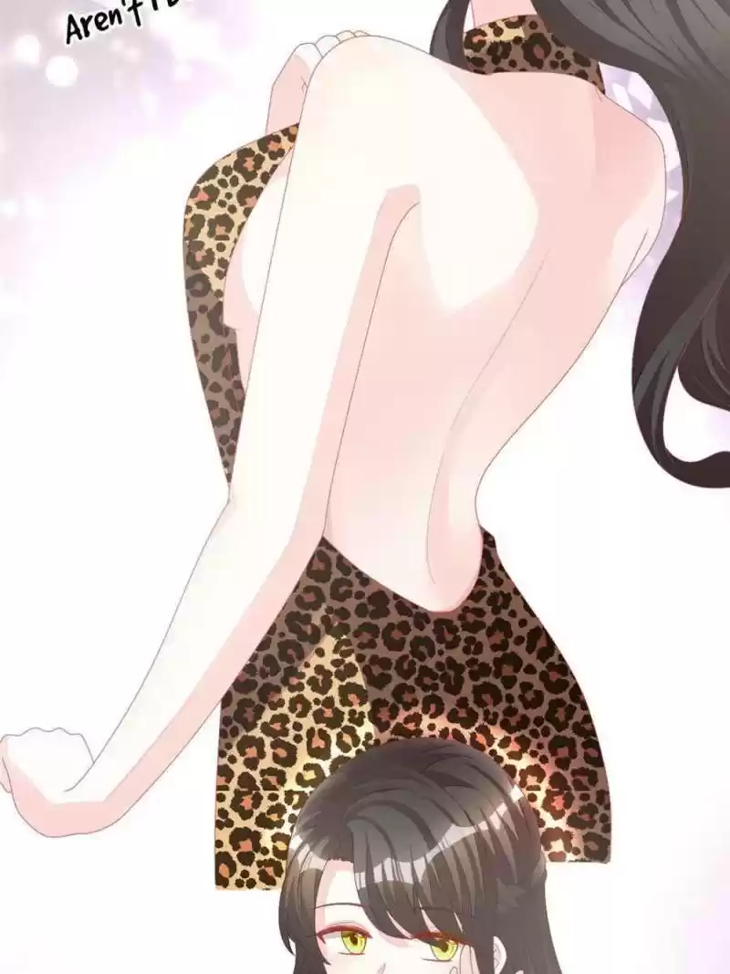 The Icy Chairman’S Cute Little Wife Chapter 1