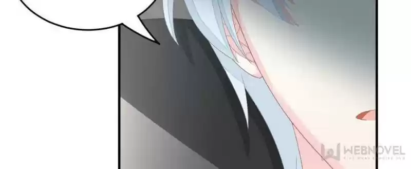 The Icy Chairman’S Cute Little Wife Chapter 1