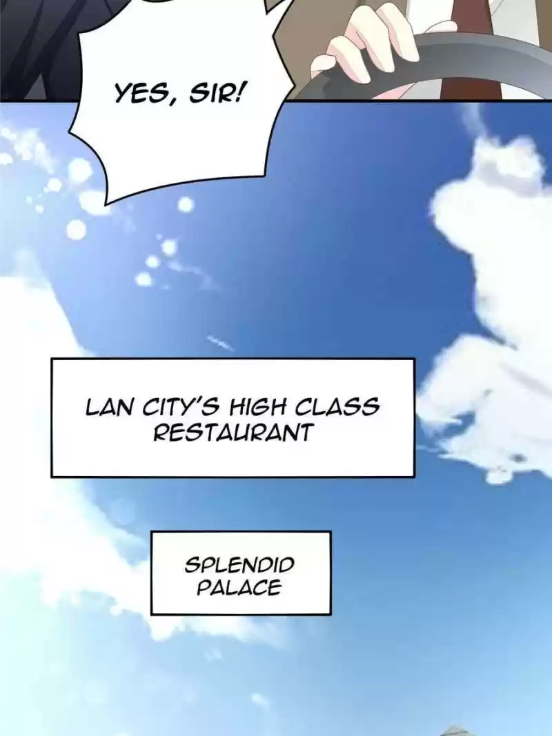 The Icy Chairman’S Cute Little Wife Chapter 1