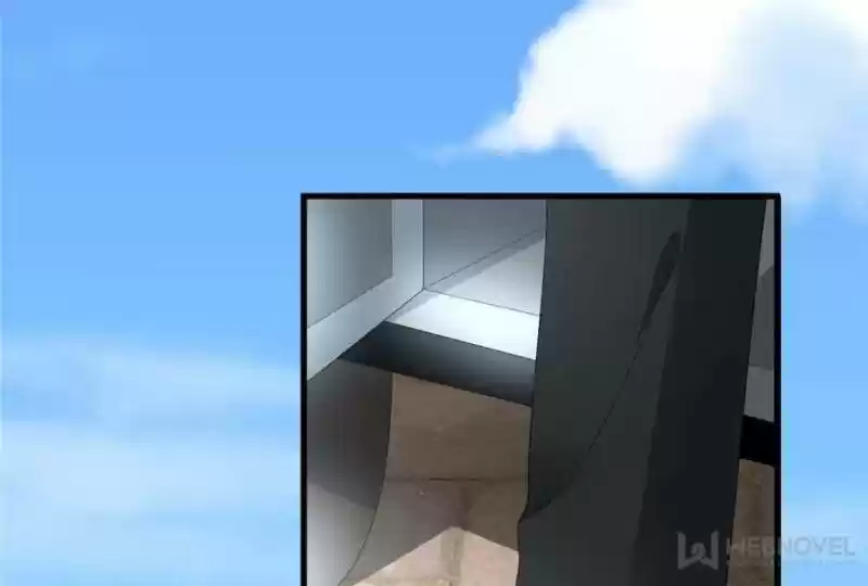 The Icy Chairman’S Cute Little Wife Chapter 1