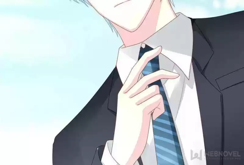 The Icy Chairman’S Cute Little Wife Chapter 1