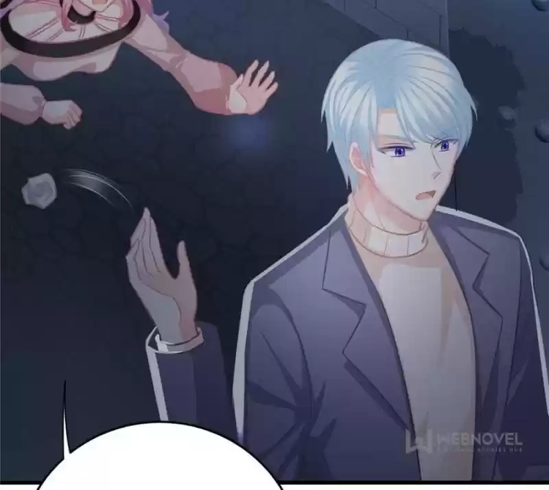 The Icy Chairman’S Cute Little Wife Chapter 101