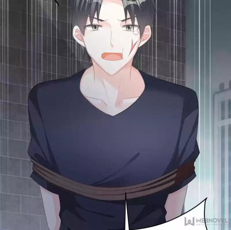 The Icy Chairman’S Cute Little Wife Chapter 13