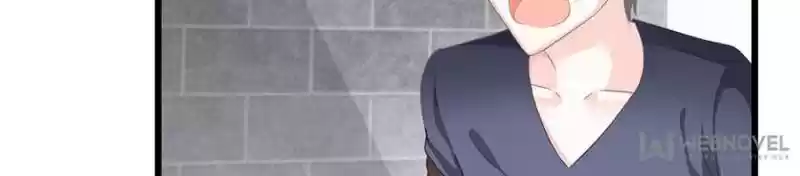 The Icy Chairman’S Cute Little Wife Chapter 13