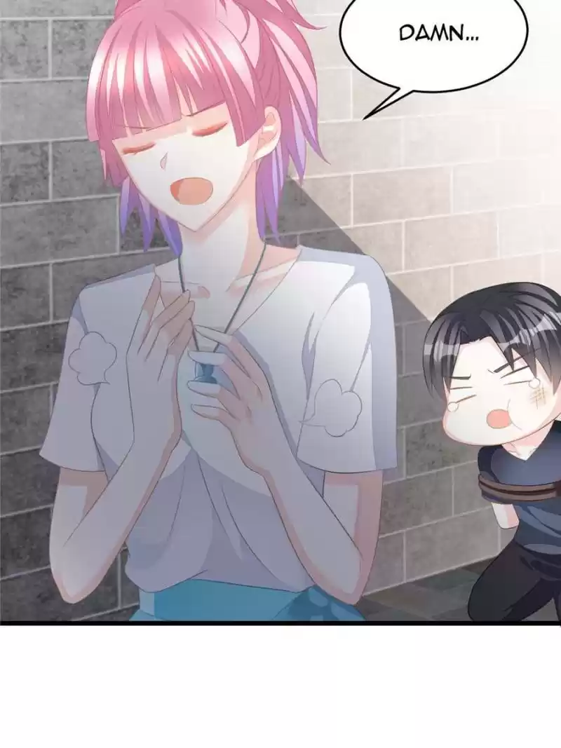 The Icy Chairman’S Cute Little Wife Chapter 13