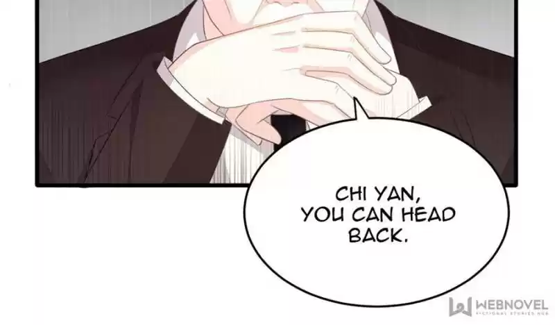 The Icy Chairman’S Cute Little Wife Chapter 15