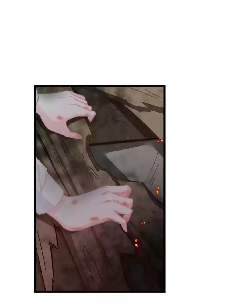 The Icy Chairman’S Cute Little Wife Chapter 155