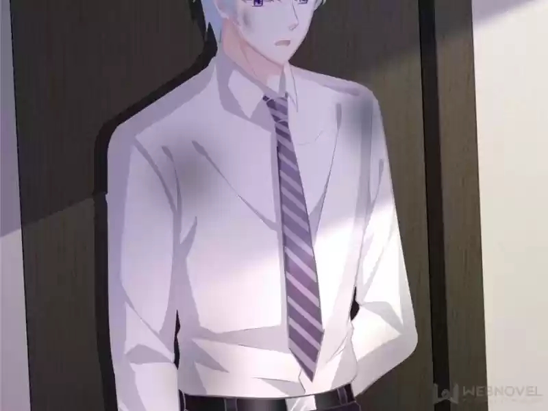 The Icy Chairman’S Cute Little Wife Chapter 155