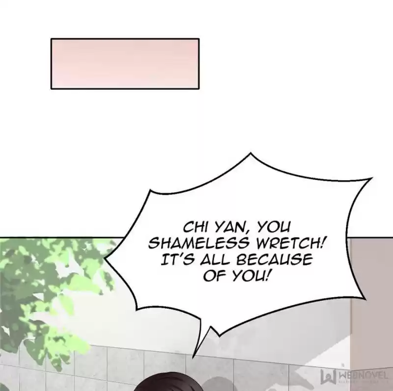 The Icy Chairman’S Cute Little Wife Chapter 17