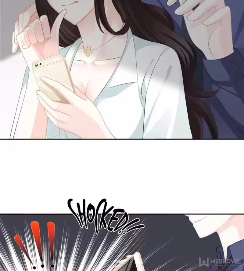 The Icy Chairman’S Cute Little Wife Chapter 17