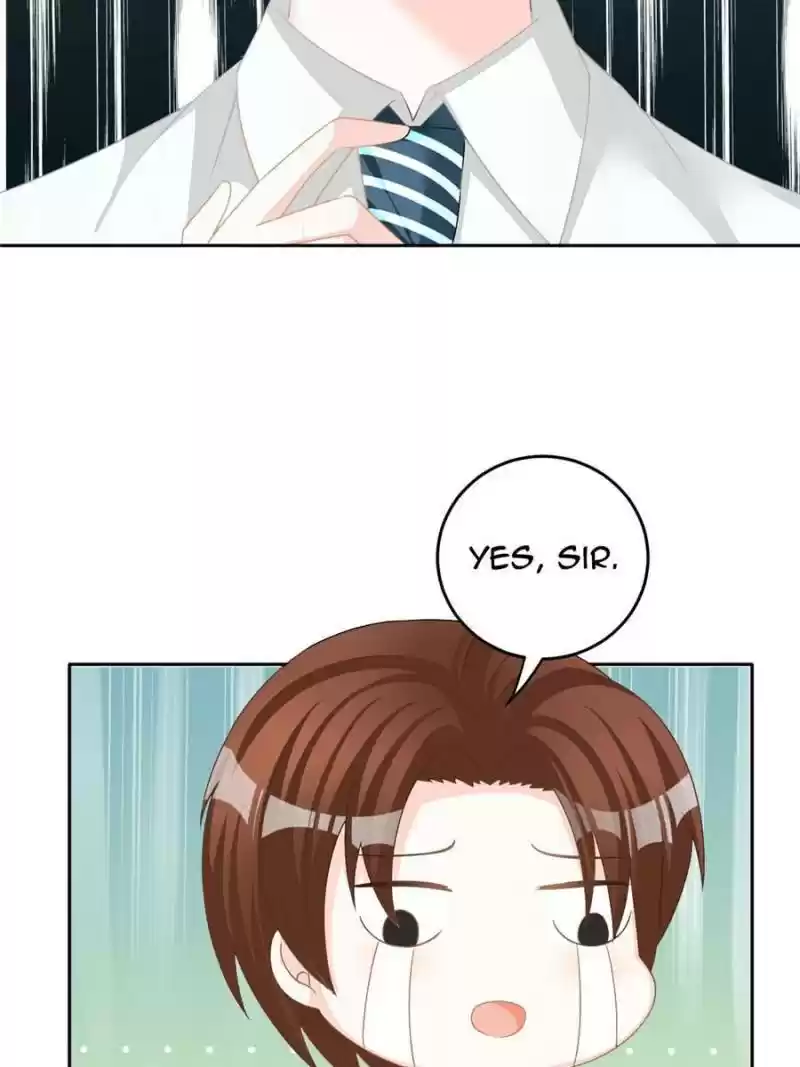 The Icy Chairman’S Cute Little Wife Chapter 17