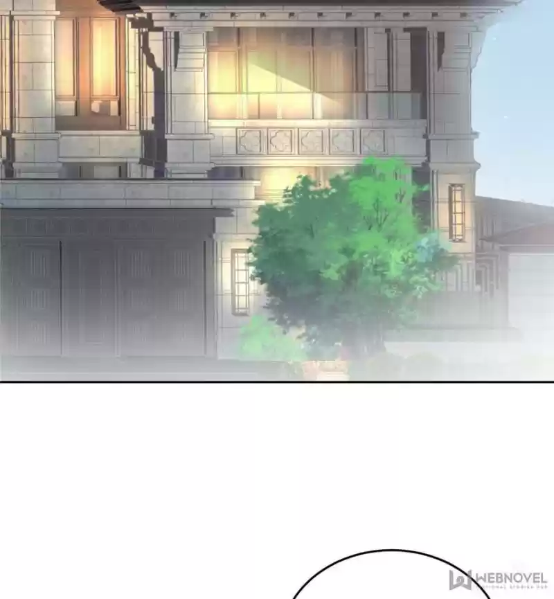 The Icy Chairman’S Cute Little Wife Chapter 18