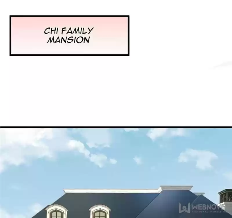 The Icy Chairman’S Cute Little Wife Chapter 19