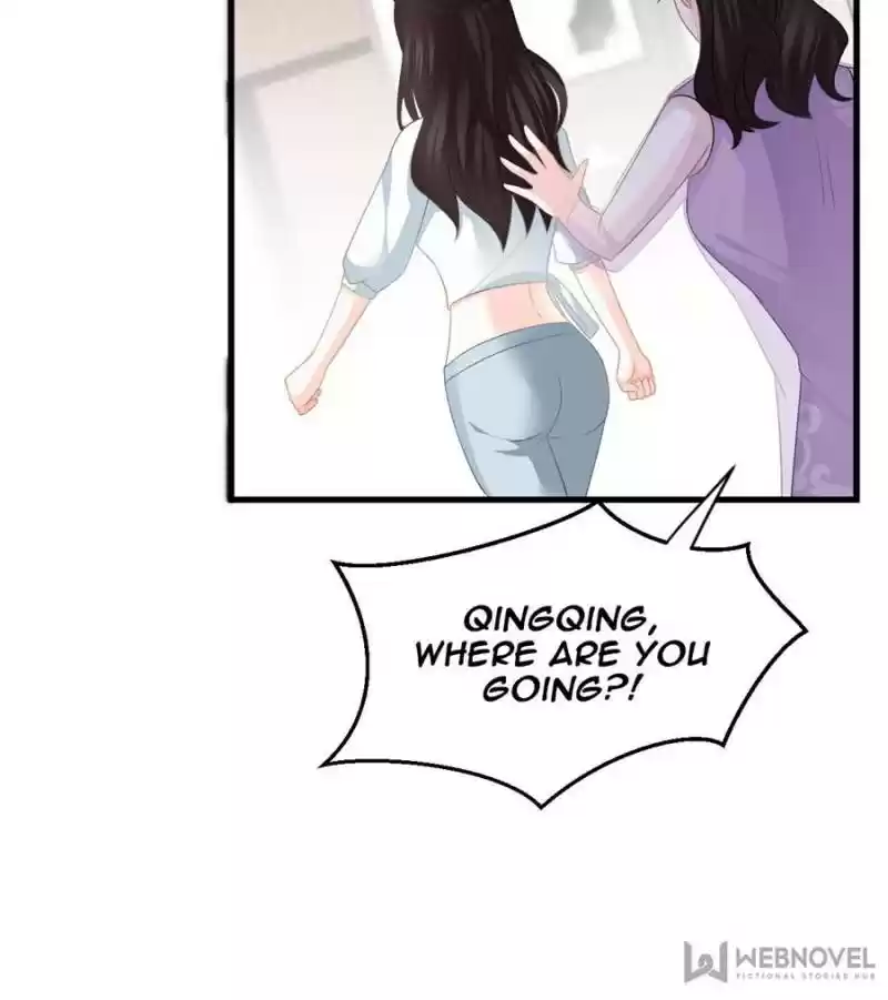 The Icy Chairman’S Cute Little Wife Chapter 19